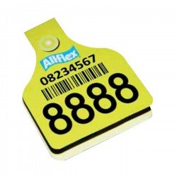 FDG Diecut Notepad 0003