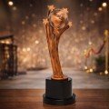 Trophies & Awards