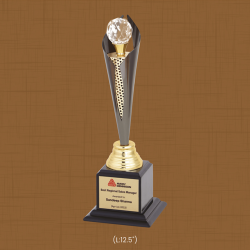 Avery Dimension Trophy